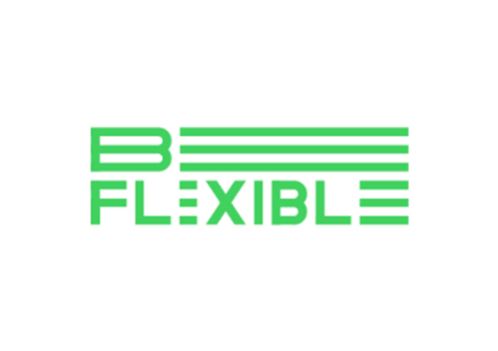 foto noticia Luz verde al proyecto europeo BeFlexible que aumentará la flexibilidad del sistema energético